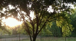 obrázek - Walcha Caravan Park