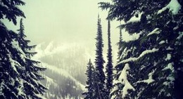 obrázek - Silver Mountain