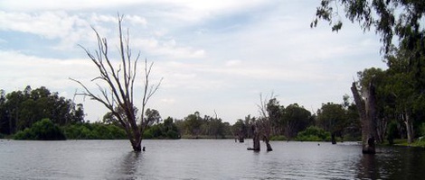 obrázek - Bundalong