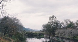 obrázek - 婺源