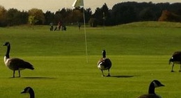 obrázek - Golf de Villennes