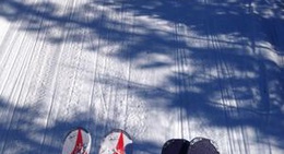 obrázek - Skidbacken