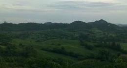 obrázek - ภูนรินทร์ resort วังน้ำเขียว