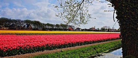 obrázek - Sint Maartenszee