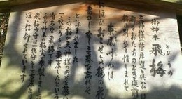 obrázek - Tobiume - Dazaifu Tenmangu Shrine (太宰府天満宮 飛梅)