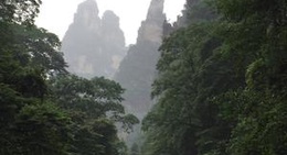 obrázek - 金鞭溪 (Kim Tiên Khê)