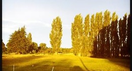 obrázek - Cheviot Scout Den