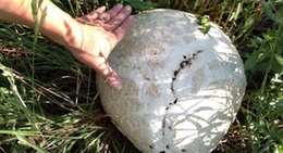 obrázek - Twenty Mile Road