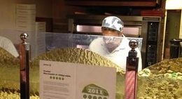 obrázek - Pizzeria Caruso