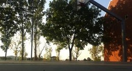 obrázek - Tigers Arena