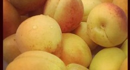 obrázek - Măgurele