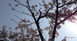 obrázek - 湯沢文化会館