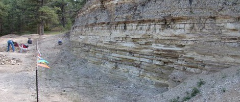 obrázek - Florissant