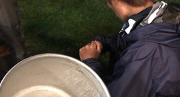 obrázek - みどりの村森林公園キャンプ場