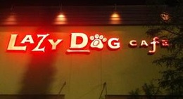 obrázek - Lazy Dog Restaurant & Bar