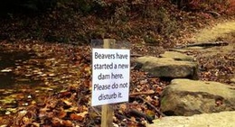 obrázek - Muir Valley