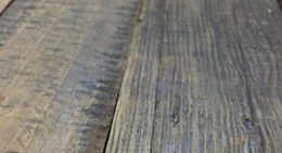 obrázek - Baja Wings