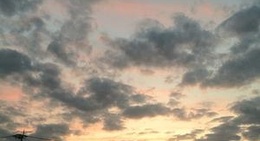 obrázek - マルナカ 土佐店