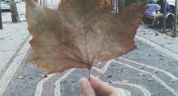 obrázek - Place Franklin