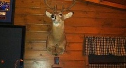 obrázek - Pine Isle Sports Bar & Grill