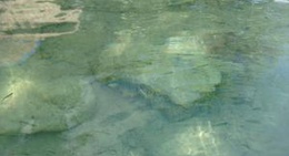 obrázek - Balneario Bonanza