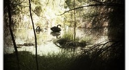 obrázek - Apex Park