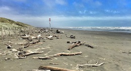 obrázek - Waitarere