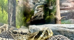 obrázek - Ballarat Wildlife Park