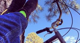 obrázek - Bushmaster Park