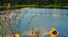 obrázek - Woodland Lake Park