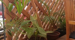 obrázek - Pasta & Cia