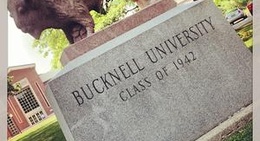 obrázek - Bucknell University
