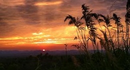 obrázek - สวนสินทวี (ทรัพย์สว่าง-ล่าง)