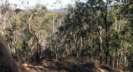 obrázek - Landcruiser Park