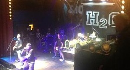 obrázek - Universal DOG