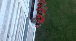 obrázek - Pirita-Kose