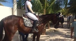 obrázek - Hipica Silveira Playa