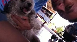 obrázek - แม่จัน