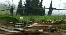 obrázek - Motovun Camping