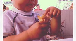 obrázek - Tom's Harbor House