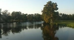 obrázek - Newport Ar