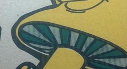 obrázek - Mellow Mushroom