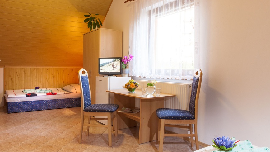 U Studny - Pokoj - TV, lednice, sociální zařízení