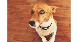 obrázek - Beachport Surf Beach