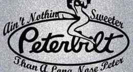 obrázek - Pizza Delight