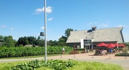 obrázek - Inniskillin Winery