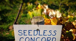 obrázek - Jerome's U-Pick