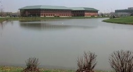 obrázek - PayPal Pond