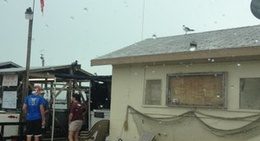 obrázek - Sea-Gun Bait House