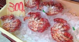 obrázek - Aコープつるい